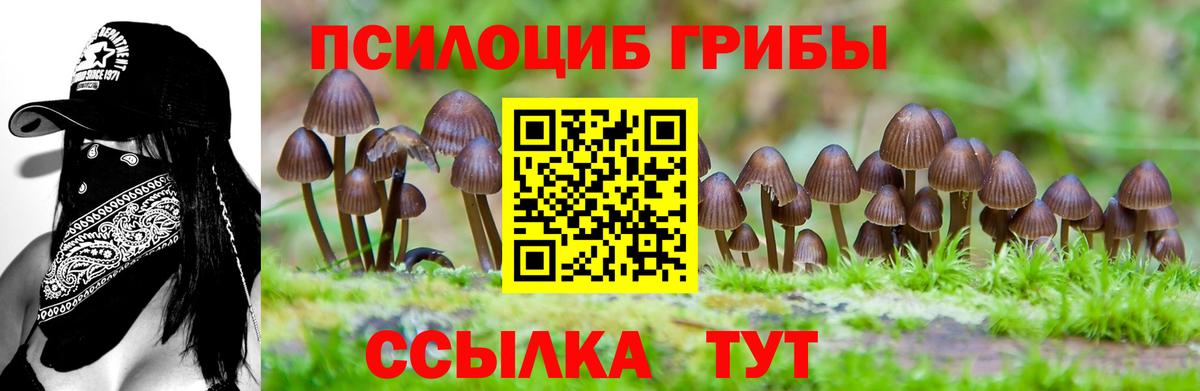 Галлюциногенные грибы мухоморы  Псилоцибиновые грибы Psilocybe  Вход с VPN  Бугуруслан 